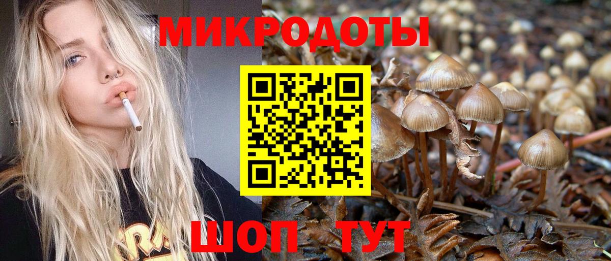 Галлюциногенные грибы MAGIC MUSHROOMS Благовещенск