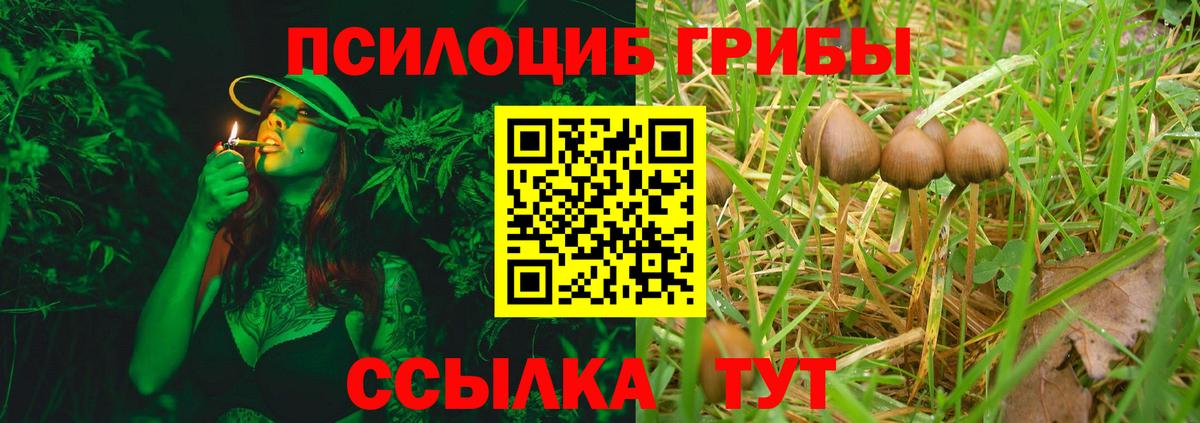 Галлюциногенные грибы ЛСД  Вход с VPN  даркнет сайт  Благовещенск  Галлюциногенные грибы мухоморы 